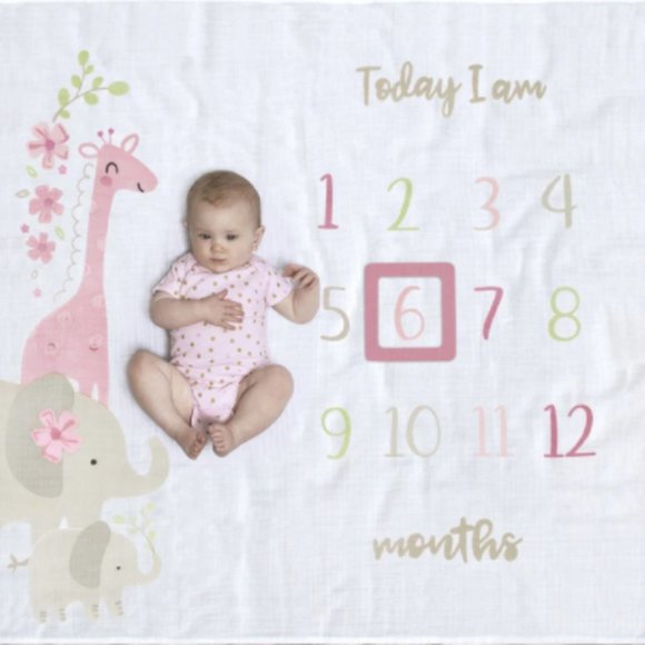 2-Piece Baby Girls Safari Milestone Blanket Set - Picture 1 of 2